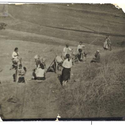 1959년 삼산교회 신축 장면