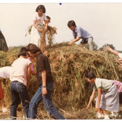 1970년대 용상동 새마을운동