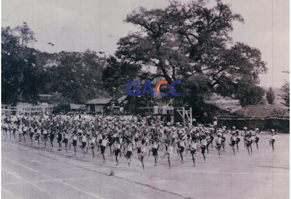 예안국민학교 운동회 사진들 작은그림