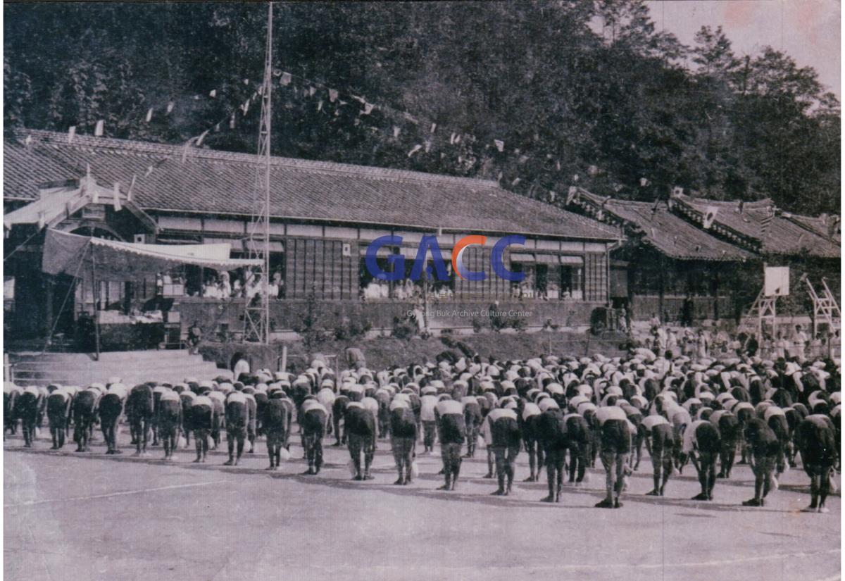 예안국민학교 운동회 사진들 작은그림