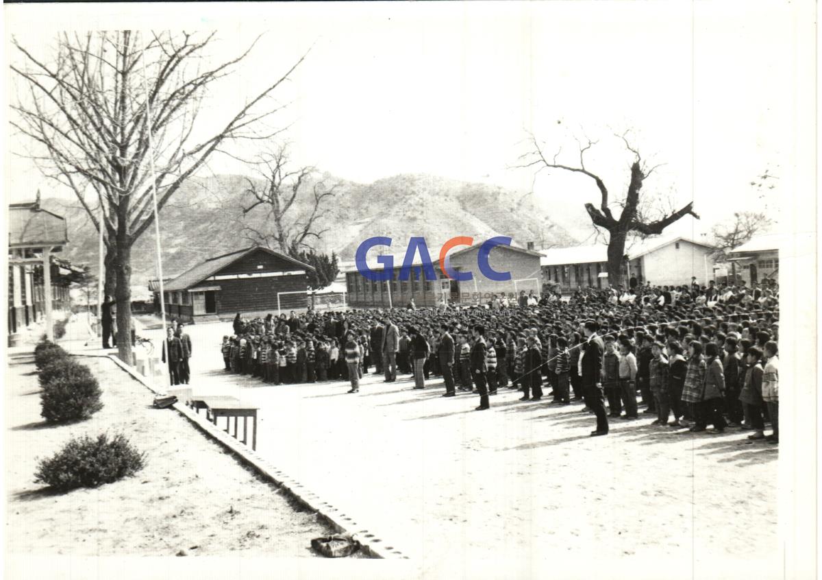 예안국민학교 조회하는 모습 작은그림