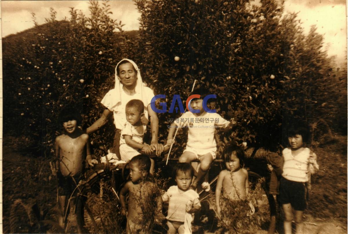 1960년대 임동면 마령리 음지마 문병태 씨 집 작은그림