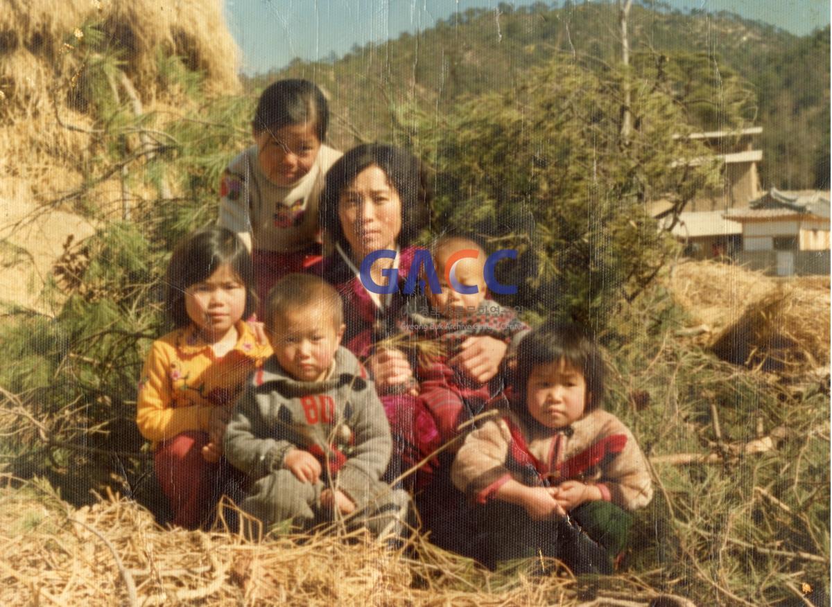 1981년 도산면 의일2리 뒷동산에서 작은그림