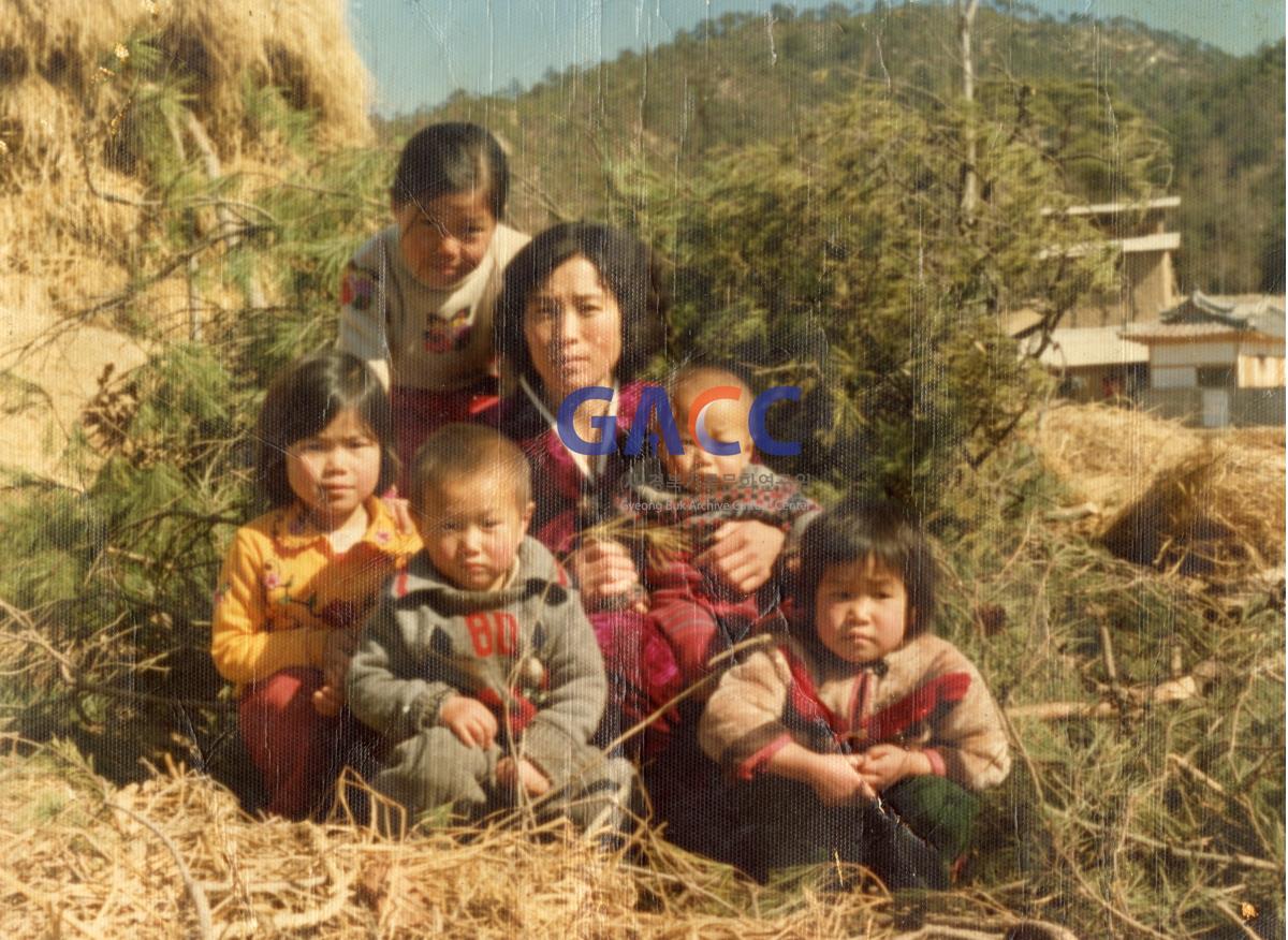 1981년 도산면 의일2리 뒷동산에서 작은그림