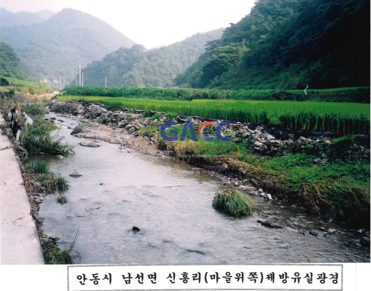 2002년 남선면 신흥리(마을위쪽) 제방유실광경(2) 작은그림