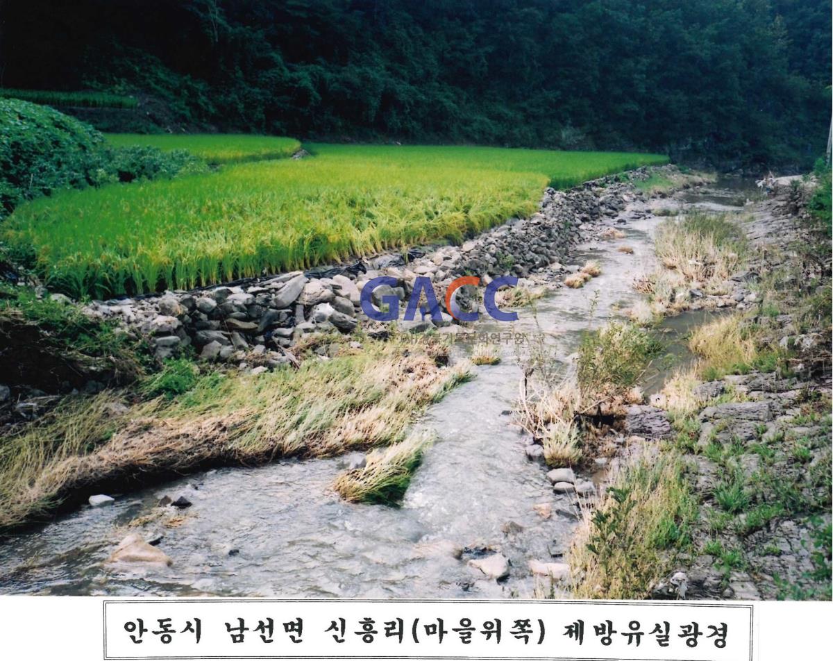2002년 남선면 신흥리(마을위쪽) 제방유실광경(3) 작은그림