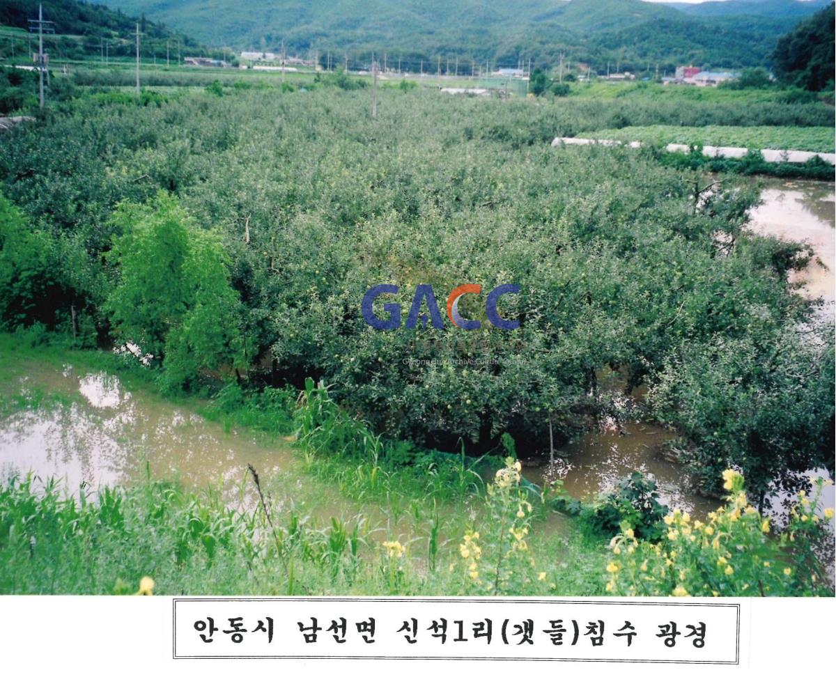 2002년 남선면 신석1리(갯들) 침수광경	 작은그림