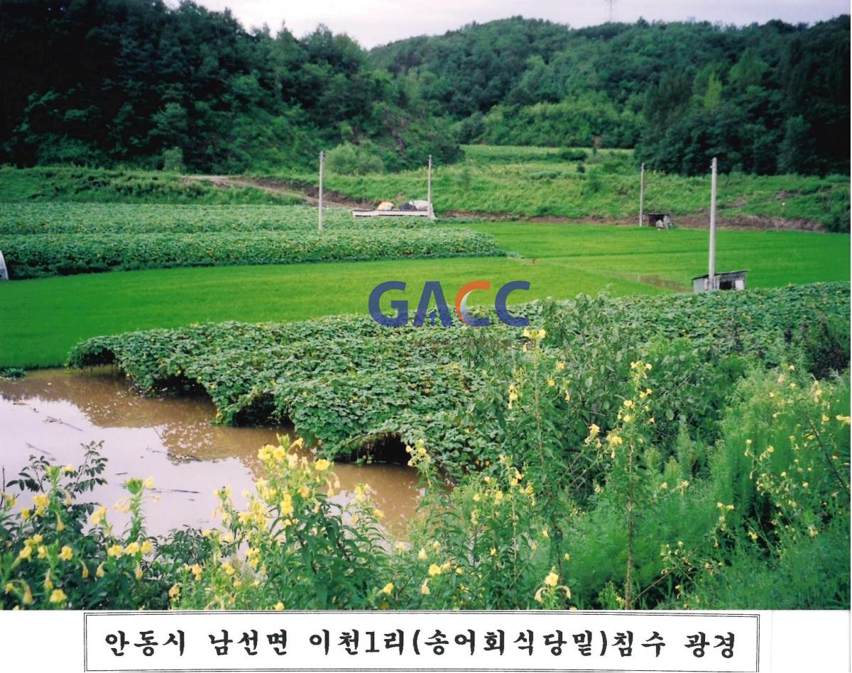 2002년 남선면 이천1리(송어회식당밑) 침수광경	 작은그림