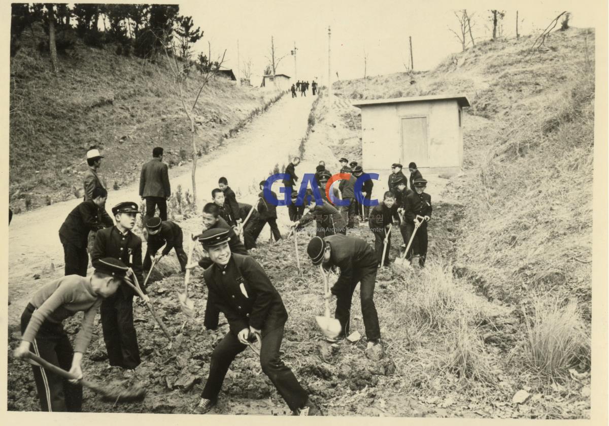 1974년 4월 12일 축산중학교 식목일 나무심기 작은그림