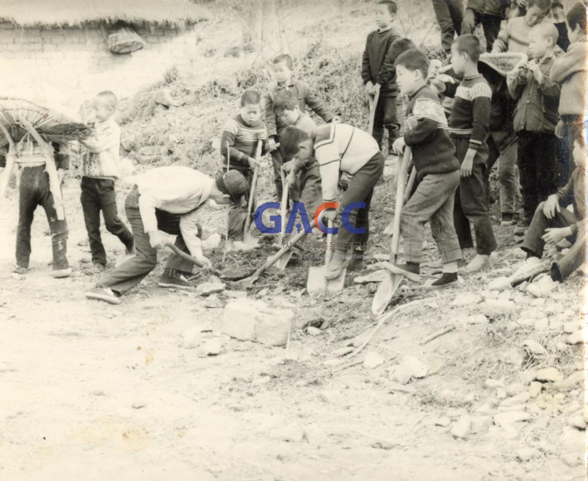 1975년경 상주군 양정국민학교 환경정화활동 작은그림