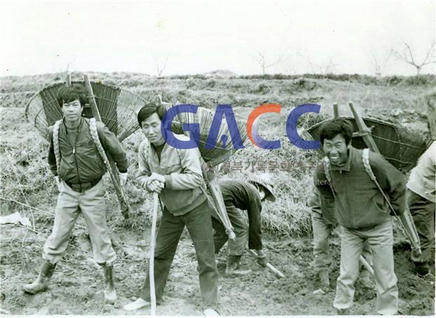 1970년 원화전 뒷산에서 봉분을 쌓기 위한 흙 나르기 등짐(지게) 장면 작은그림