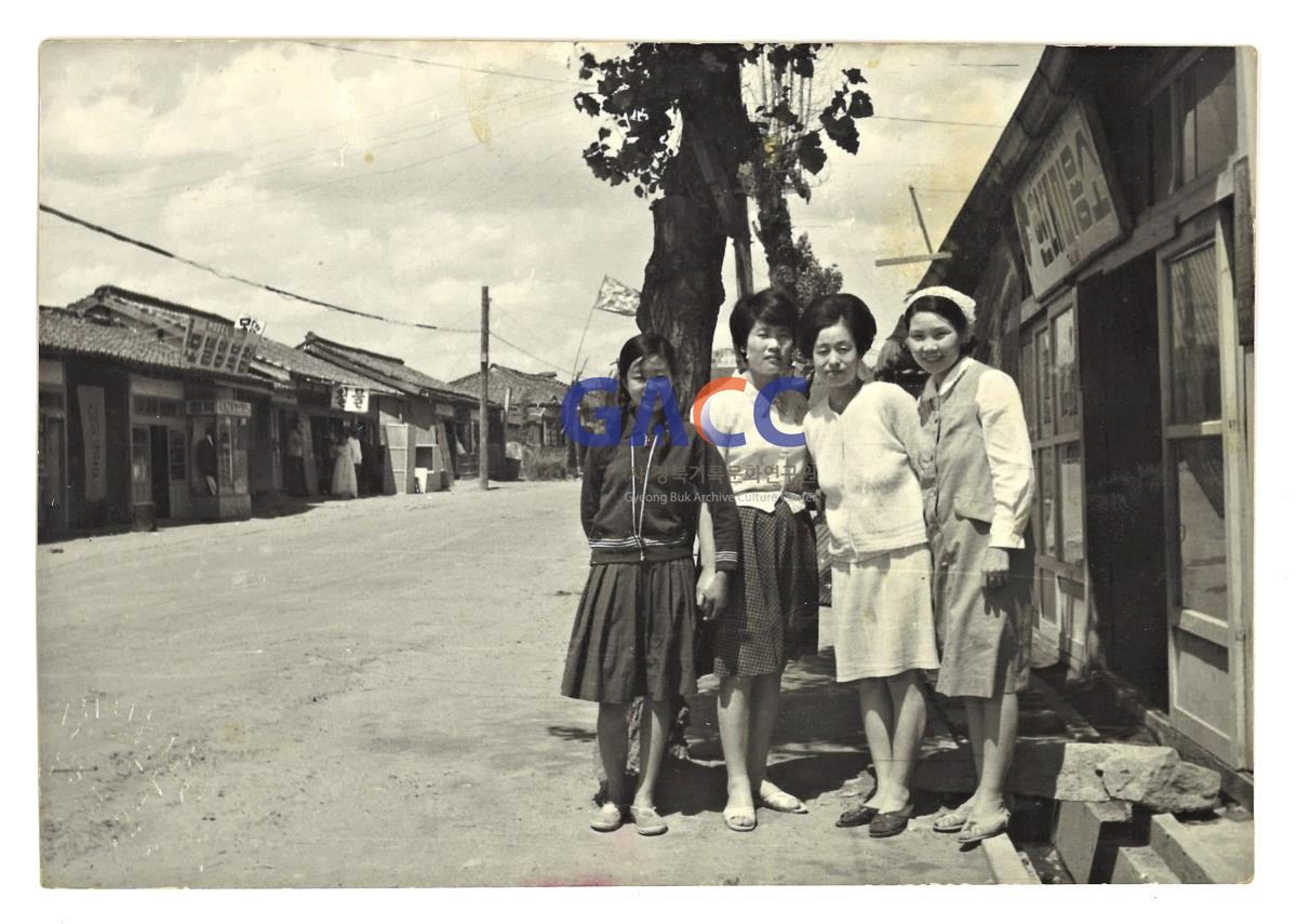 1967년 도리원 신작로 작은그림