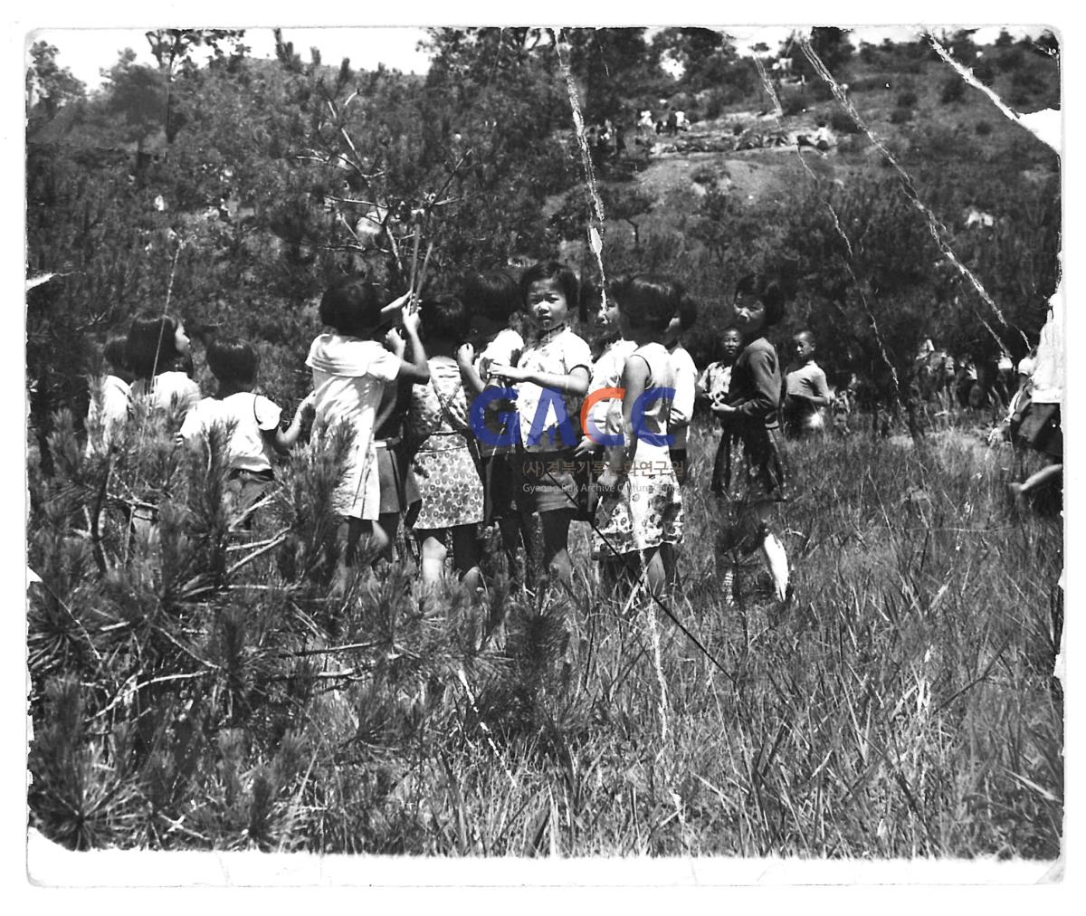 1972년 도리원초등학교 4학년 송충잡이 작은그림