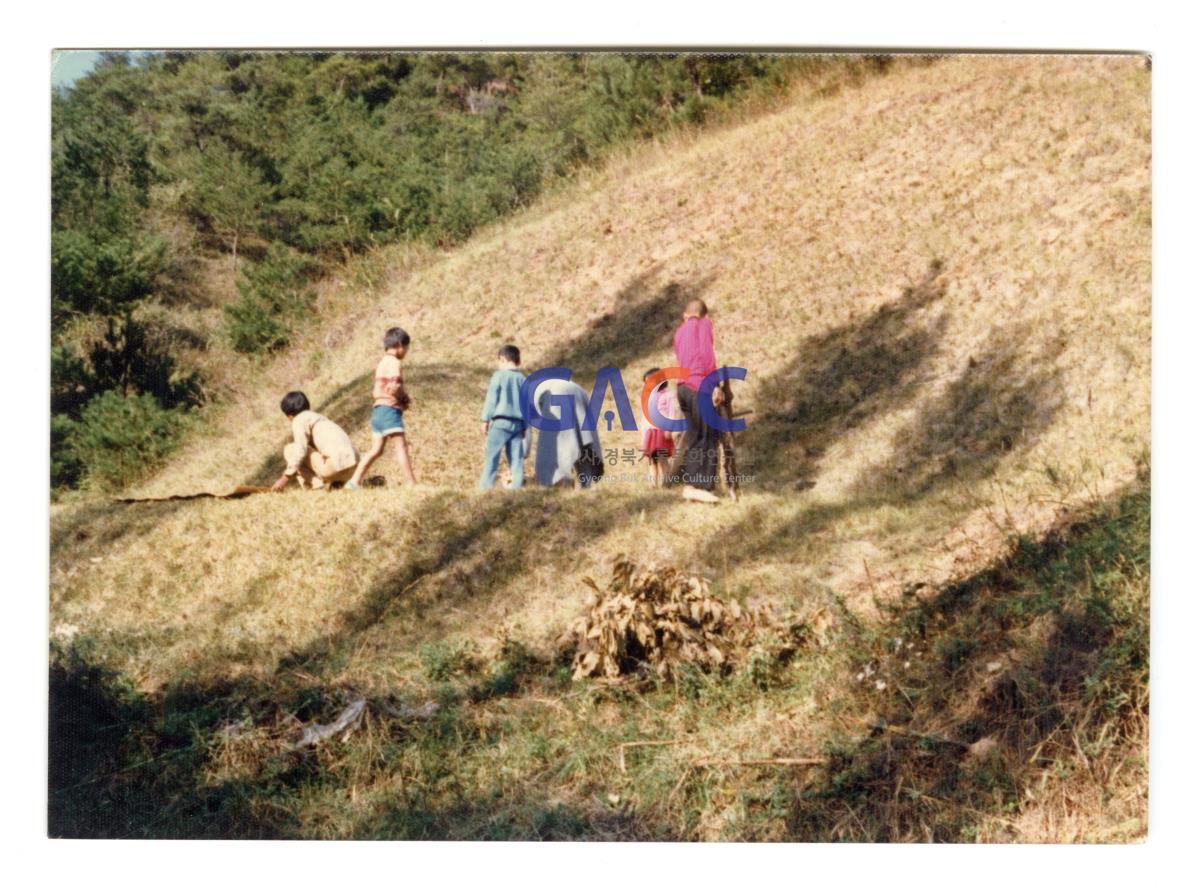 1980년대 추석 망천리 산소에서 작은그림