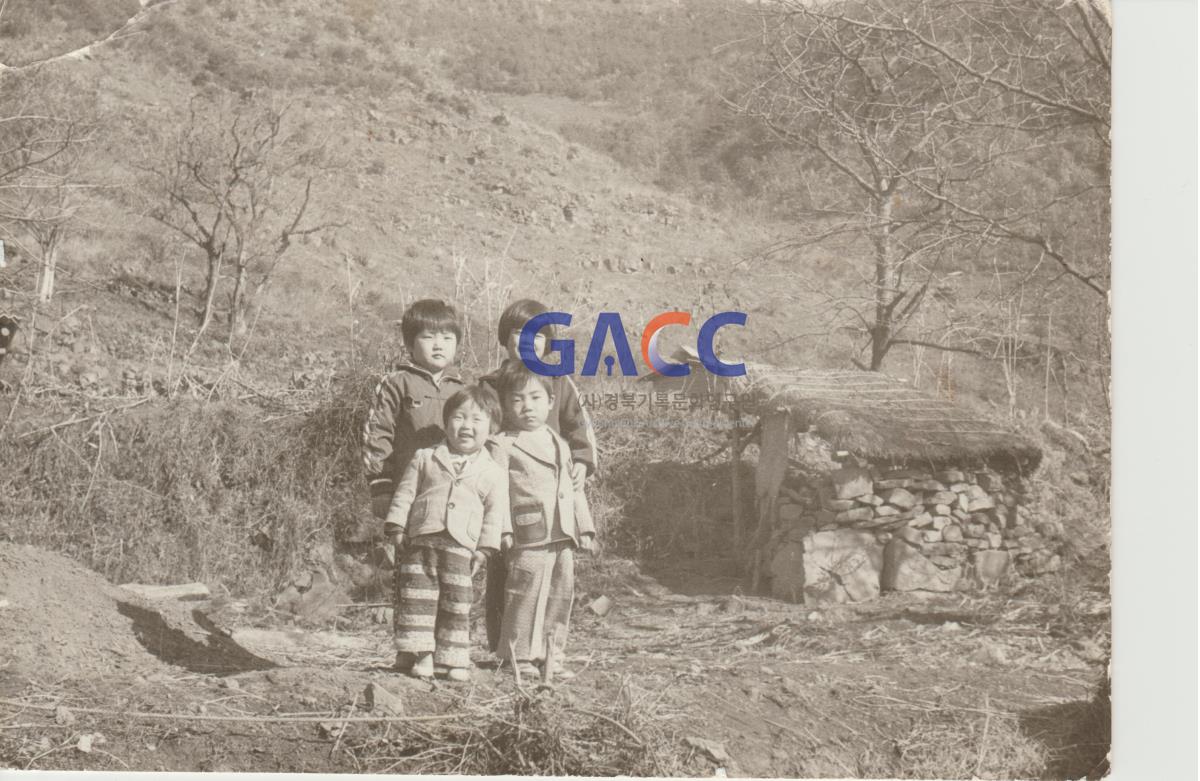 1976년경 닭장 앞이라도 좋아요 작은그림