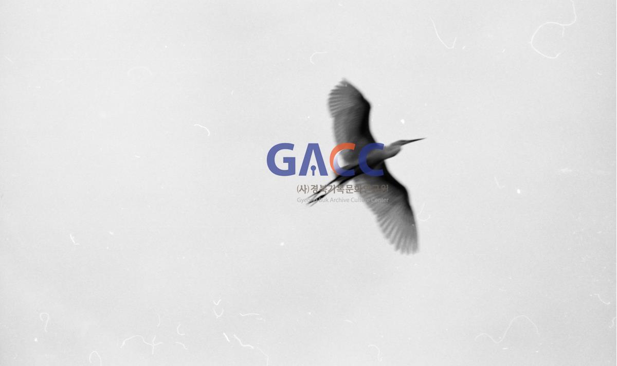 왜가리 20 작은그림