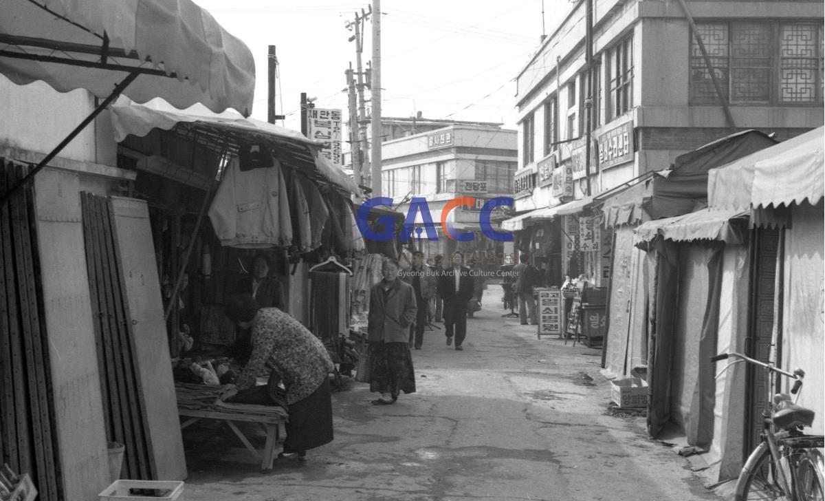 사장둑(천리천) 11 작은그림