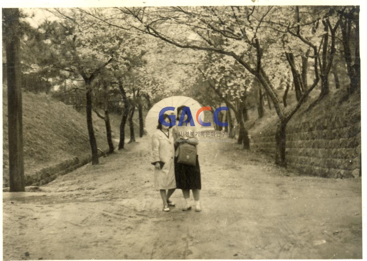 꽃이 핀 나무 아래에 우산을 쓴 친구들 작은그림