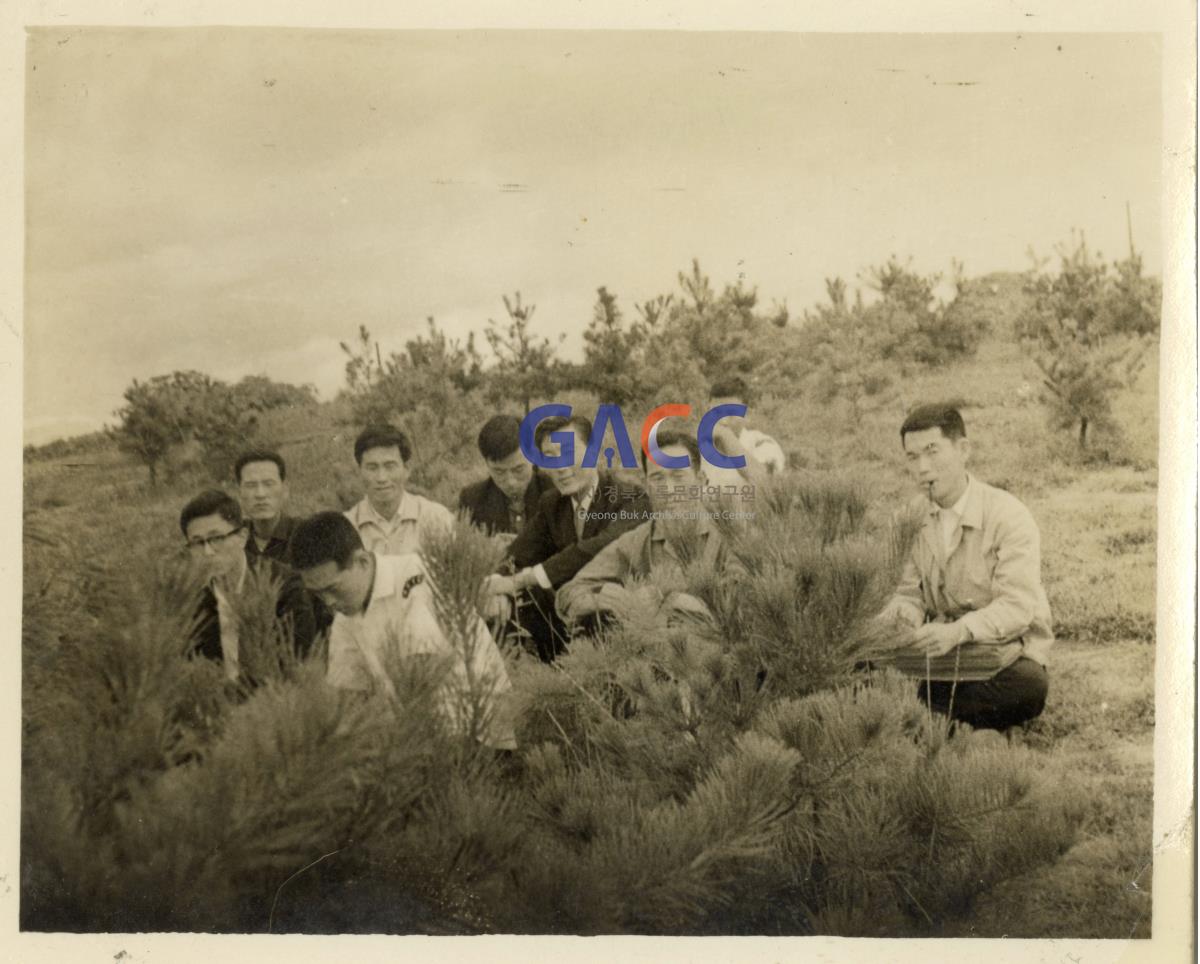 1964년 경북대학교 모교에서 작은그림
