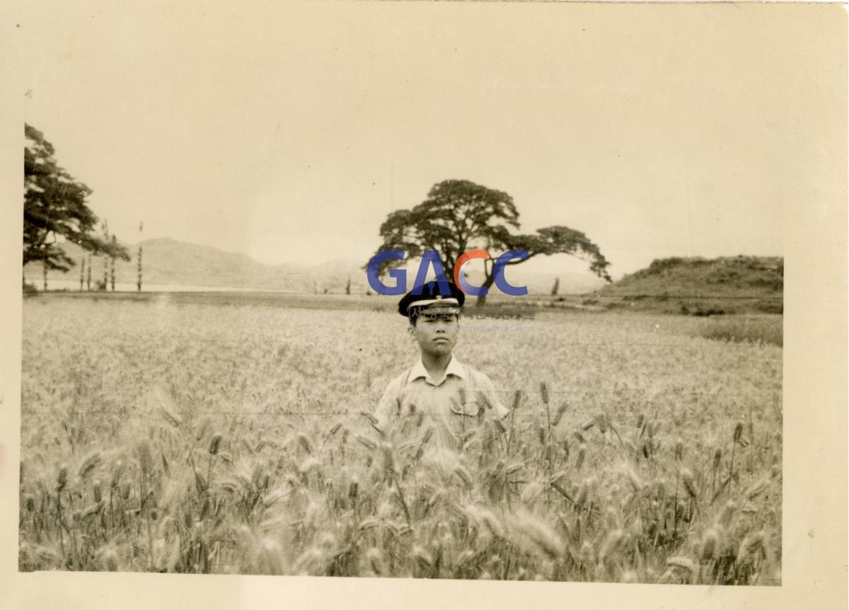 1960년 풍경 마애에서 찍은 모습 작은그림
