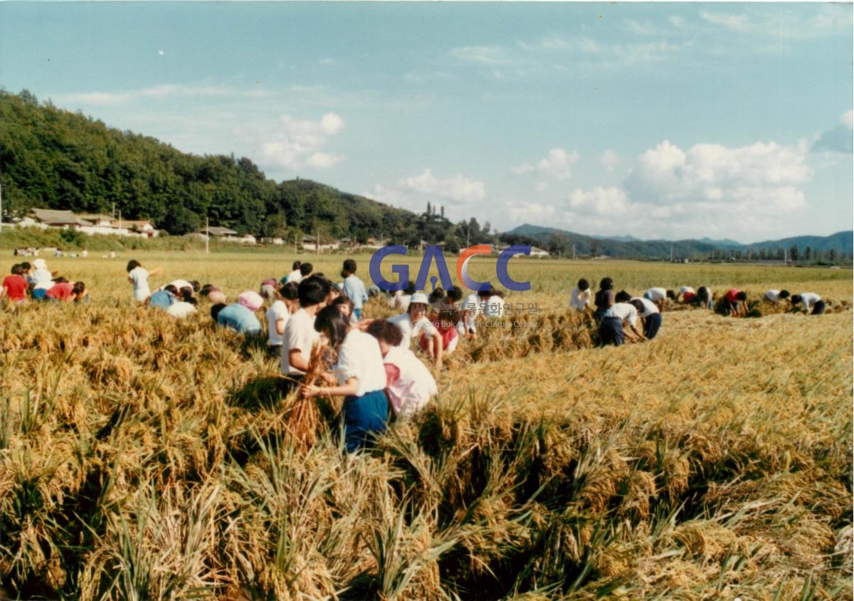 가톨릭 상지대학교 수해복구지원 1984년 9월 5일 작은그림