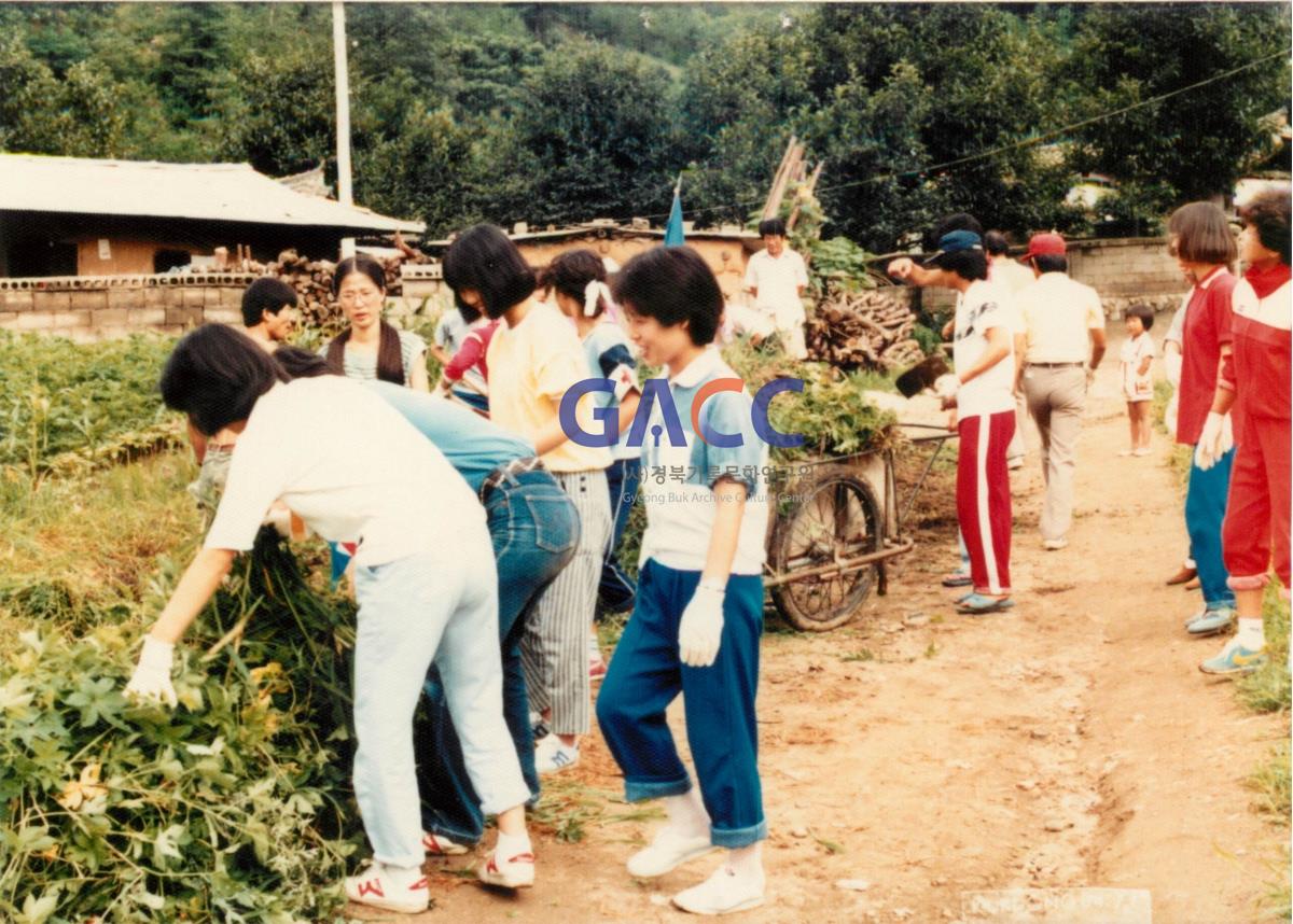 가톨릭 상지대학교 하계봉사활동 1984년 7월 23일 - 28일 작은그림