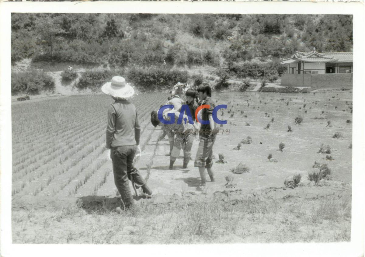 가톨릭 상지대학교 학생자치활동 사회봉사 1982년 작은그림