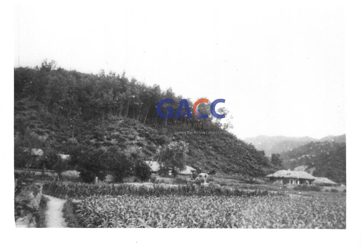 부포마을 수몰전 중마 작은그림