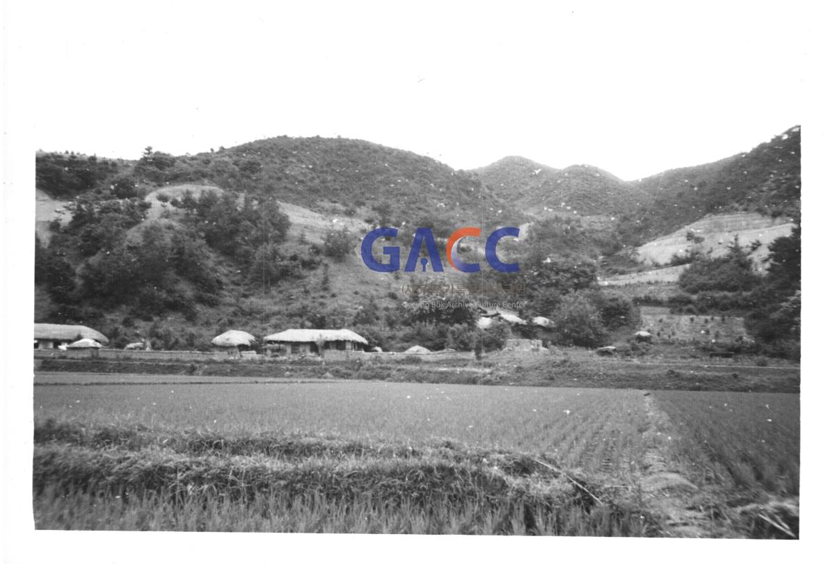 부포마을 수몰전 이수창씨, 이수장씨, 이명윤씨 집 작은그림