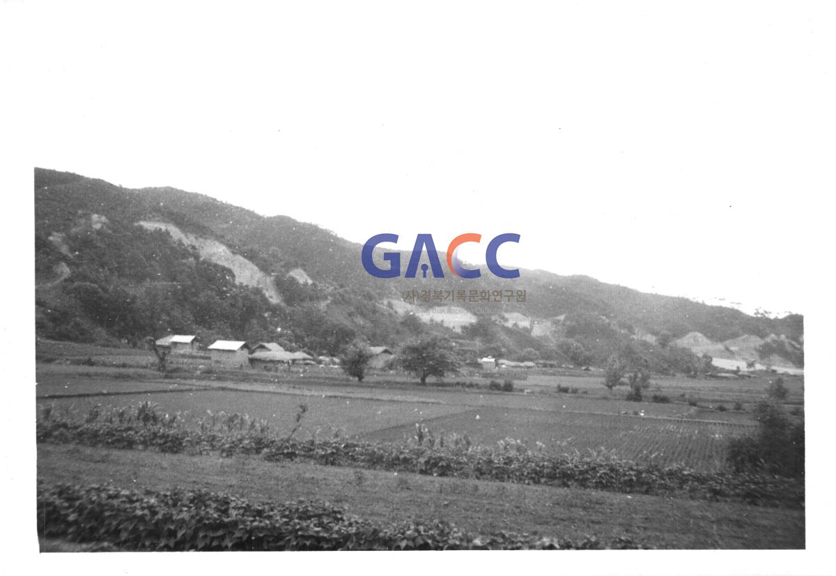 부포마을 수몰전  월촌 작은그림