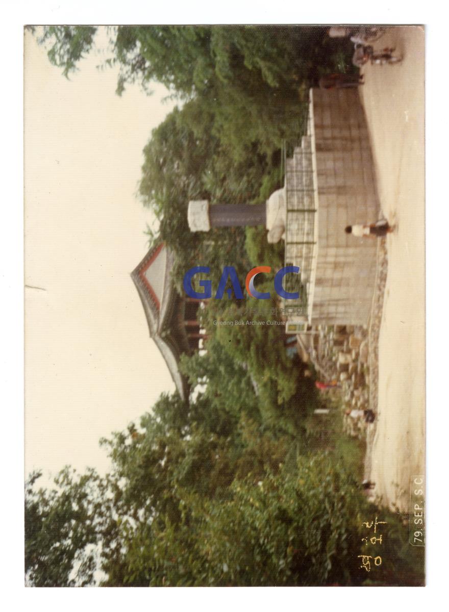 1979년 여름, 영호루에서 작은그림