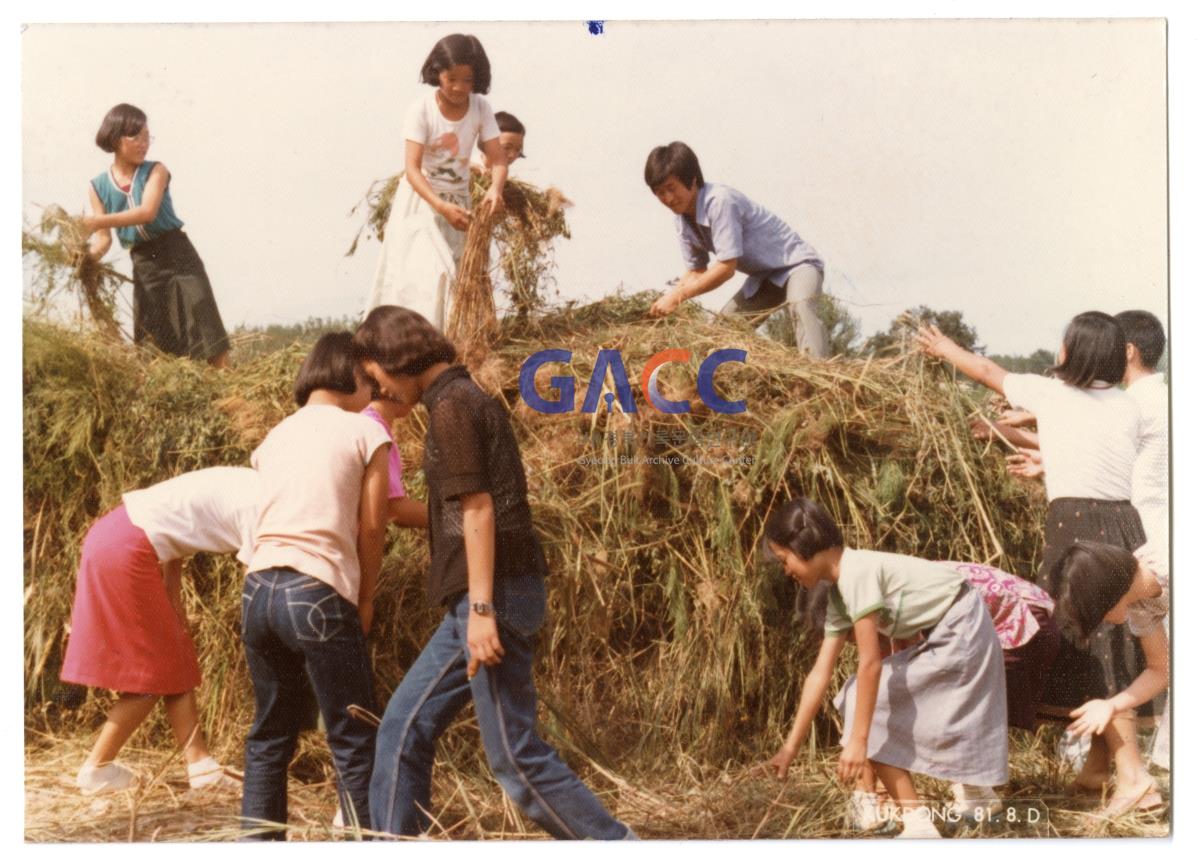 1970년대 용상동 새마을운동 작은그림