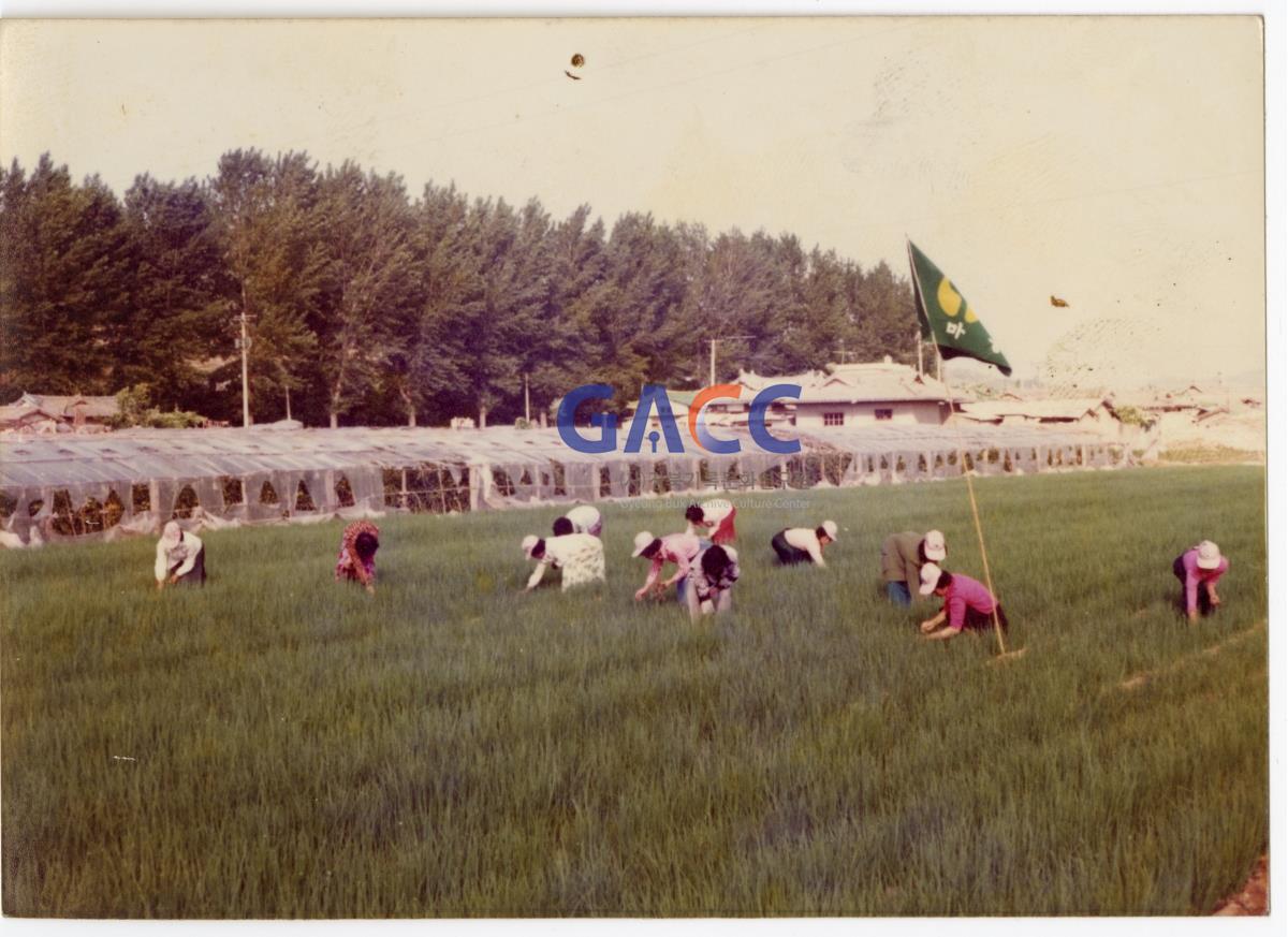 1970년대 용상동 새마을운동 작은그림