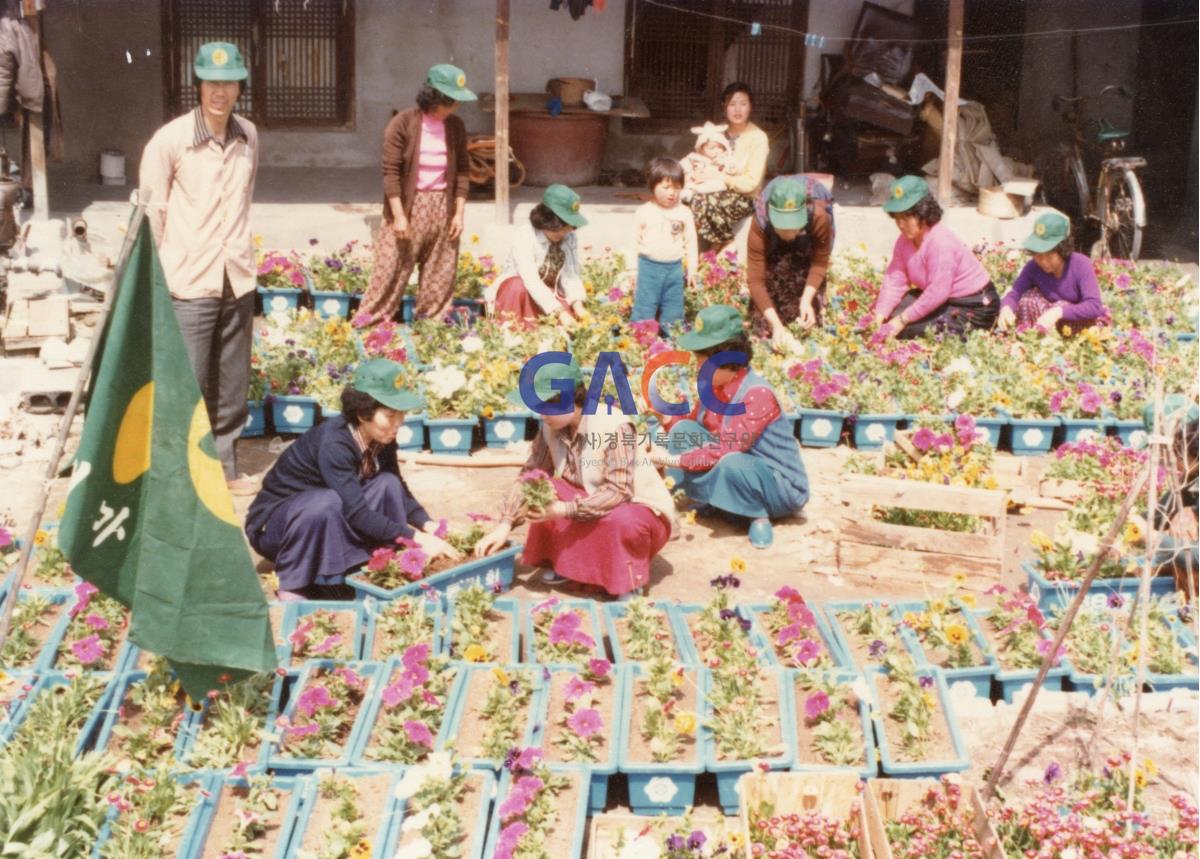 새마을운동 꽃 가꾸기 작은그림