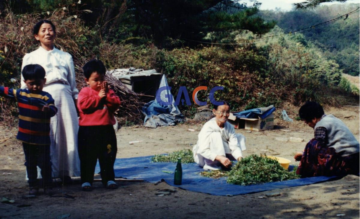 자곡 추석 무렵 풍경 작은그림