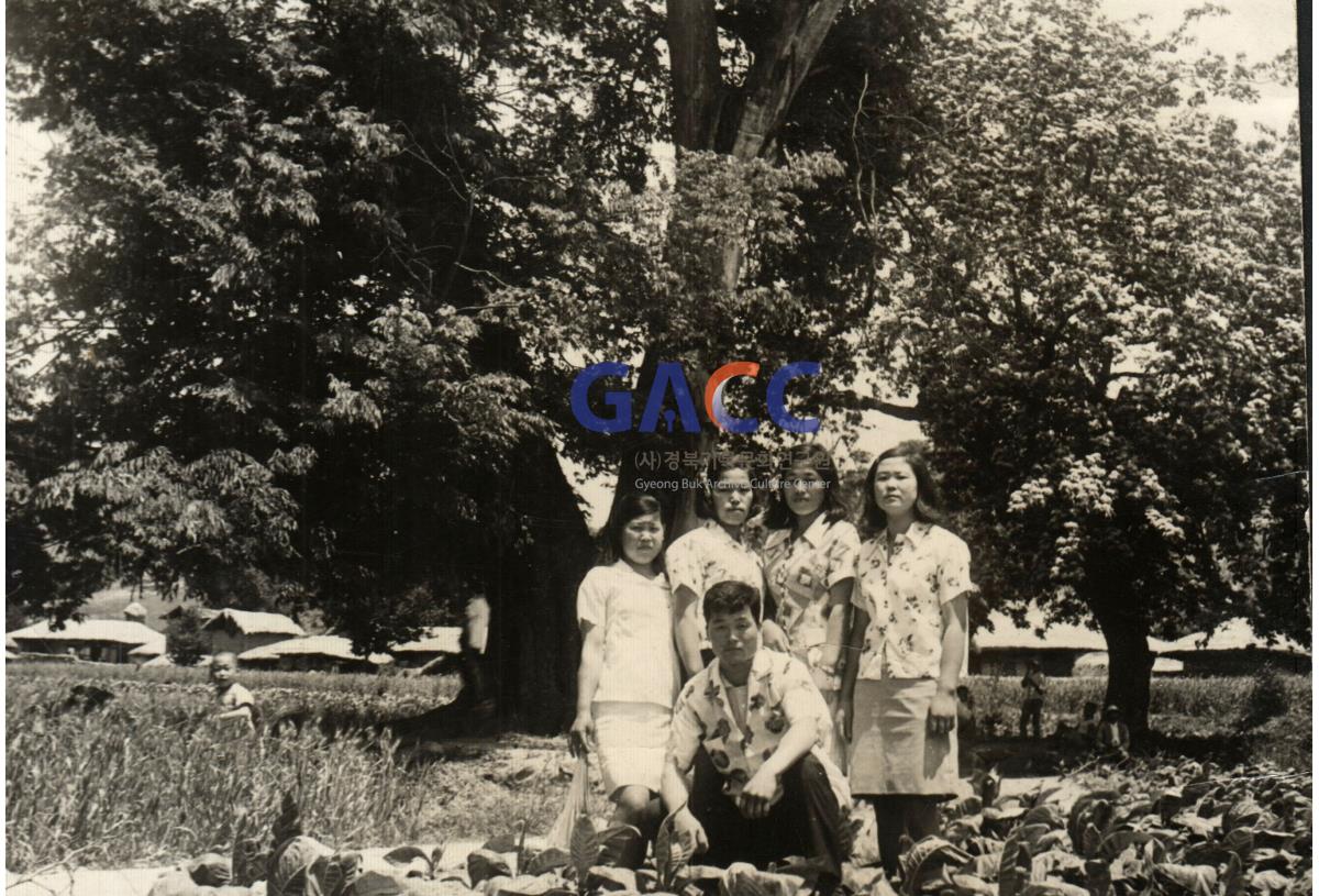 김순해와 친구들 고향 창실 동구나무 아래에서 찍은 사진 작은그림