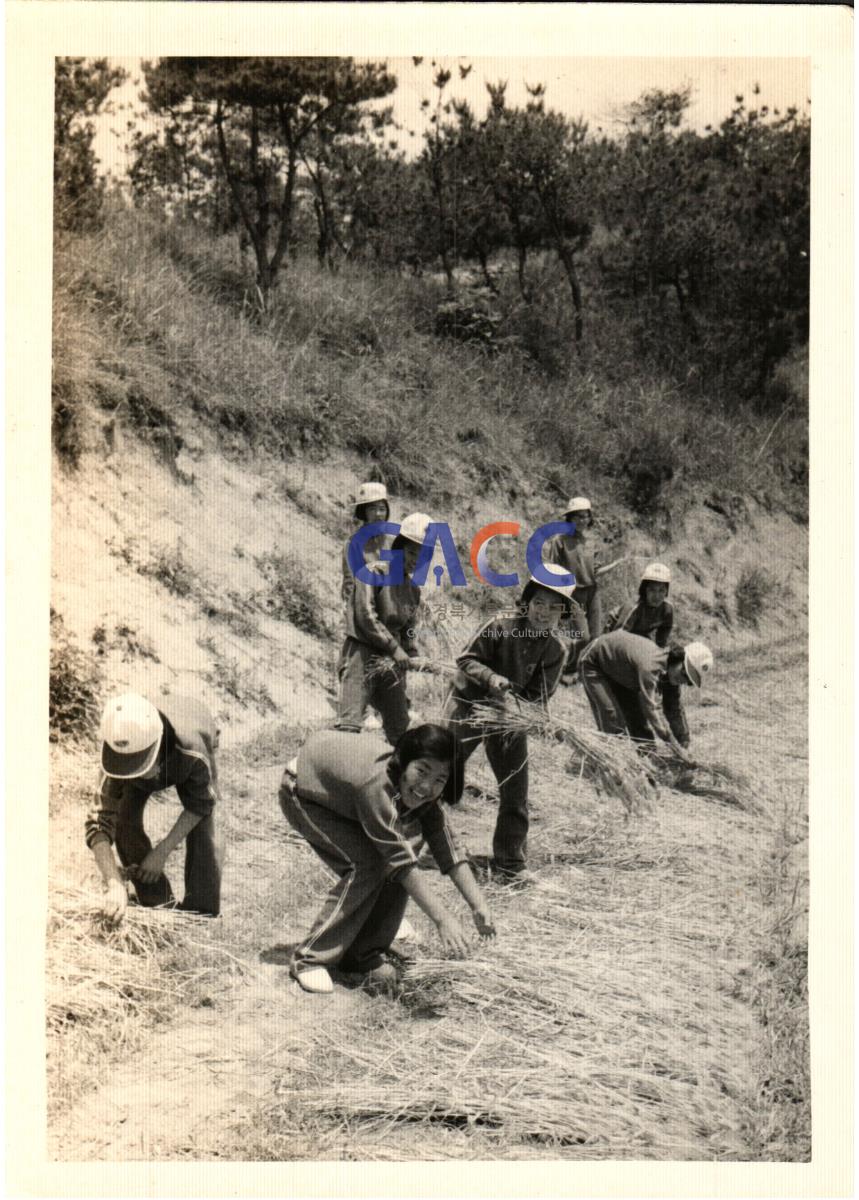 이계향씨 딸 중학교 체육복 입고 환경미화 작업하는 사진 작은그림