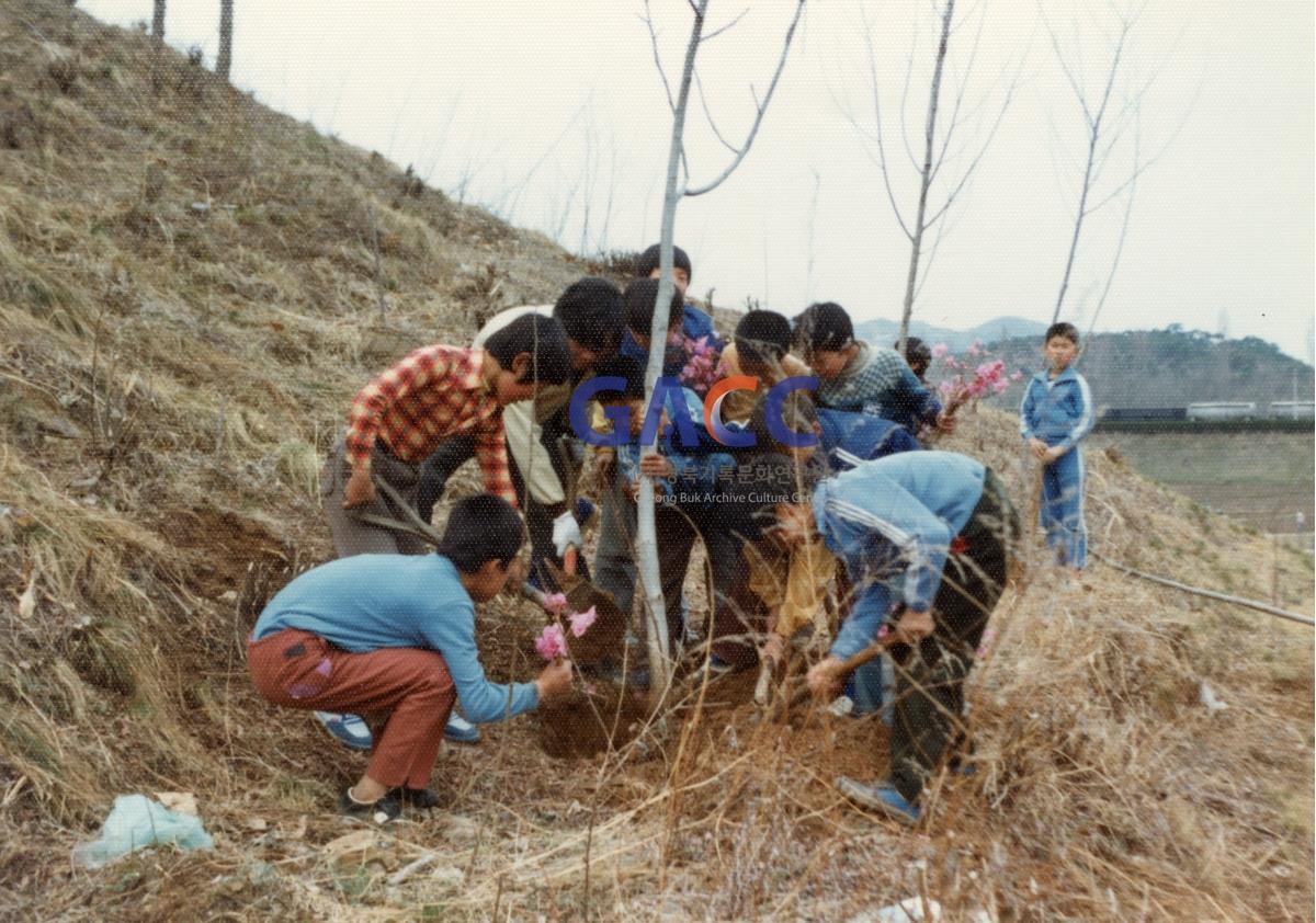 1982년 4월 5일 한 포기의 나무라도 정성을 다하여 작은그림