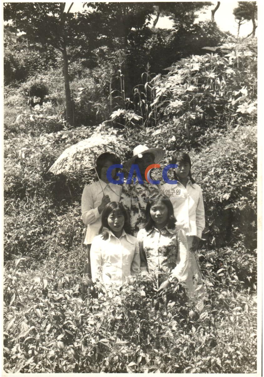 지질의 여름날 큰딸부부와 자매들 작은그림
