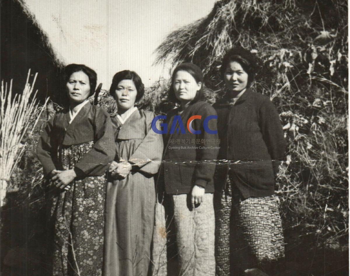 오천리 외내 살던 금씨네 며느리들 작은그림