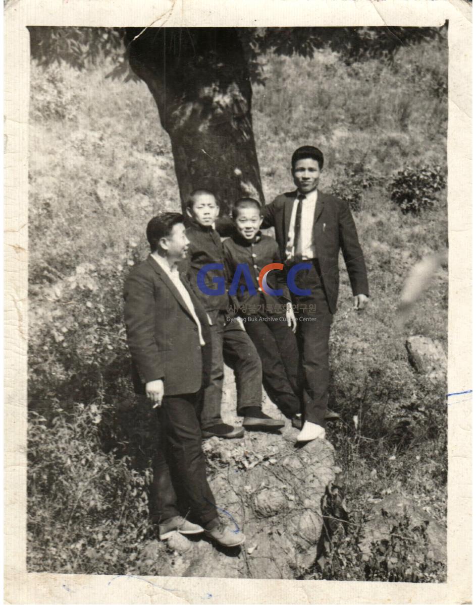 대동국민학교 교정 나무에서 선생님과 아이들 작은그림