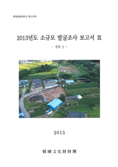 2013년도 소규모 발굴조사 보고서 IX -경북 2-